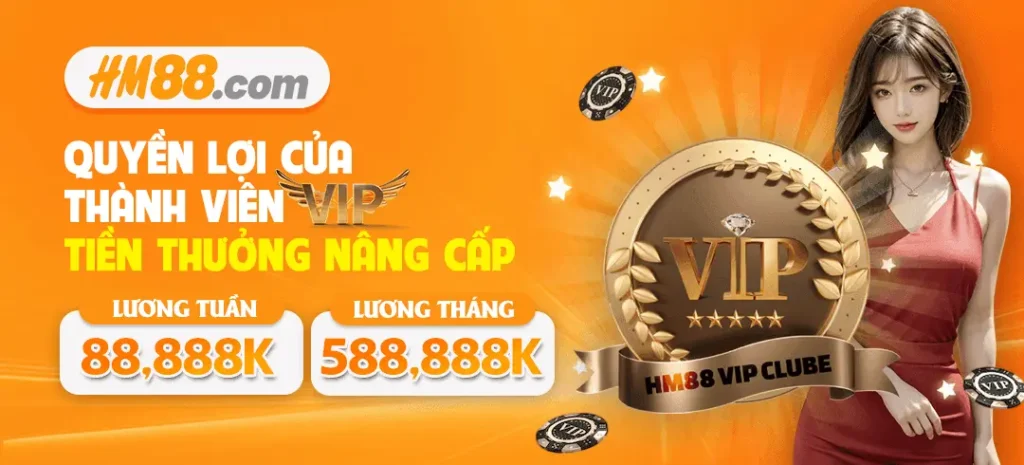 Quyền lợi thành viên vip